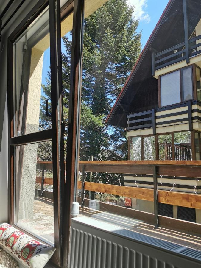 Apartament Kalinderu K2 Buşteni Exterior foto